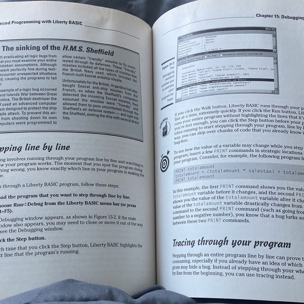 Beginning Programming for Dummies - Picture 3 of 6
